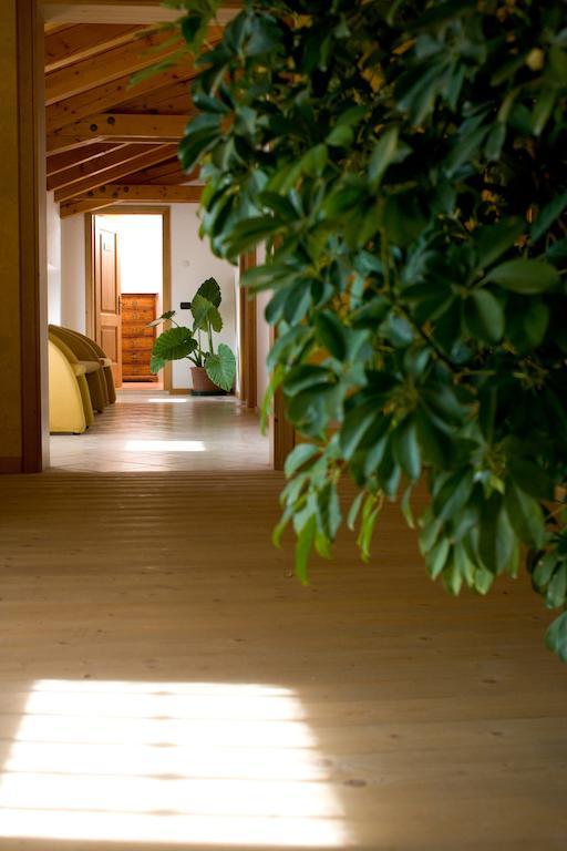 Agriturismo Al Casale Codroipo Luaran gambar
